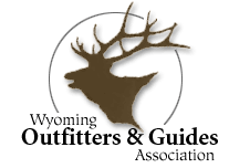 WYOGA logo